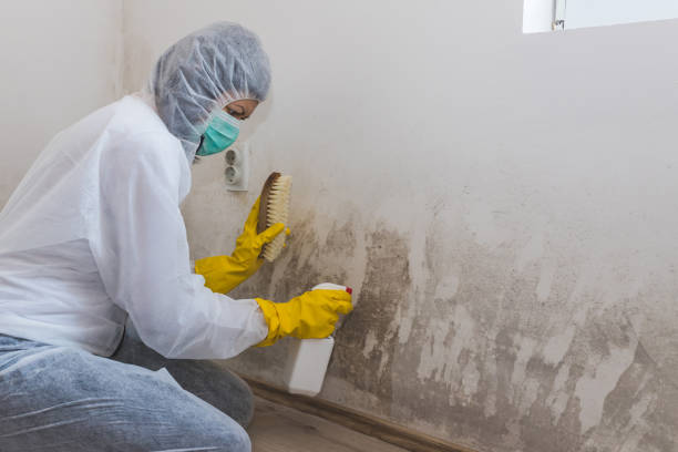 Best HVAC Mold Inspection and Cleaning  in Unionville, GA