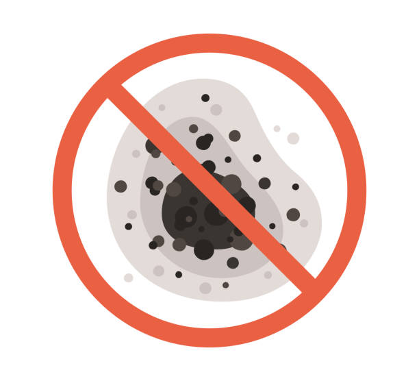 Biohazard Mold Removal in Unionville, GA