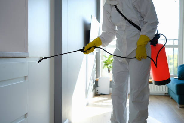 Best Post-Construction Mold Inspection  in Unionville, GA