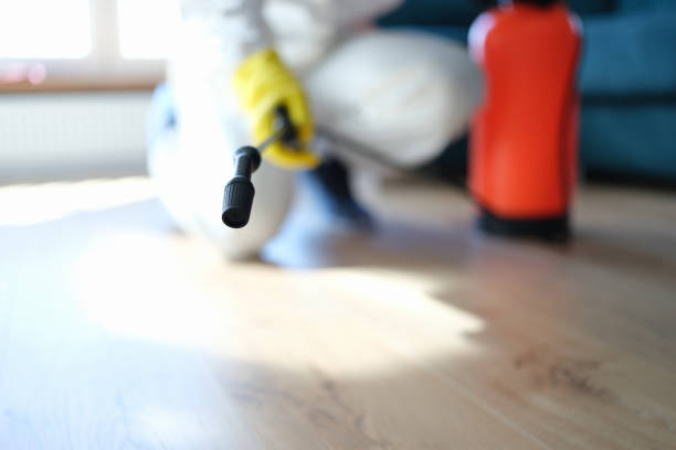 Best Water Damage & Mold Remediation  in Unionville, GA