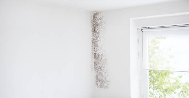 Best Mold Remediation for Healthcare Facilities  in Unionville, GA