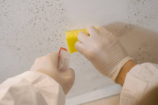 Best Crawl Space Mold Remediation  in Unionville, GA