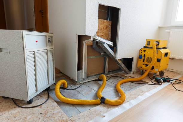 Best Dehumidification Services  in Unionville, GA