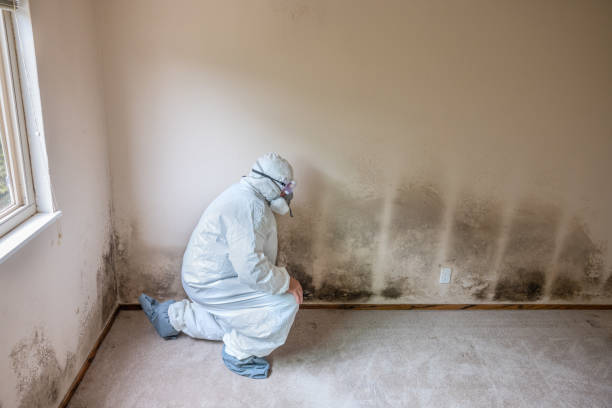 Best Mold Odor Removal Services  in Unionville, GA