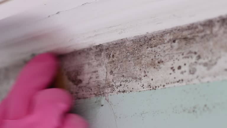 Best Mold Prevention Services  in Unionville, GA